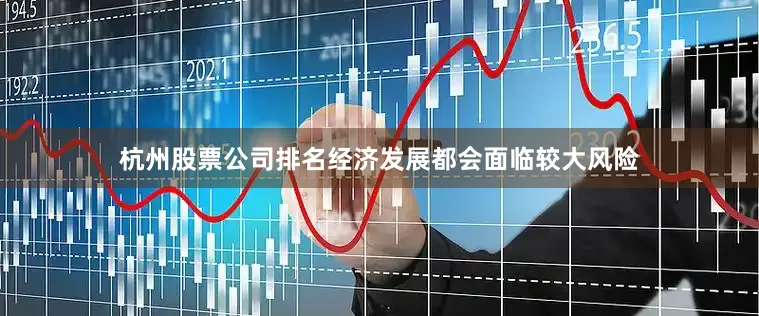 杭州股票公司排名经济发展都会面临较大风险